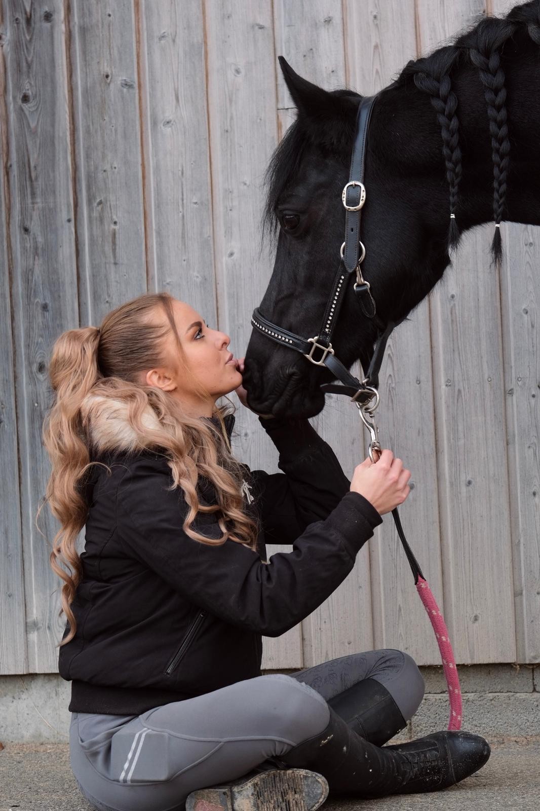 Acheter un cheval : les bons réflexes à avoir